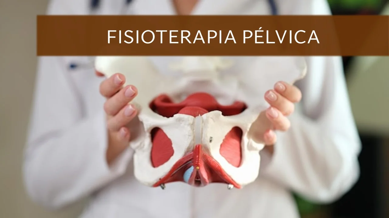 Pelvica