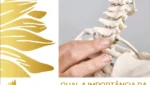 Qual_a_importancia_da_Fisioterapia