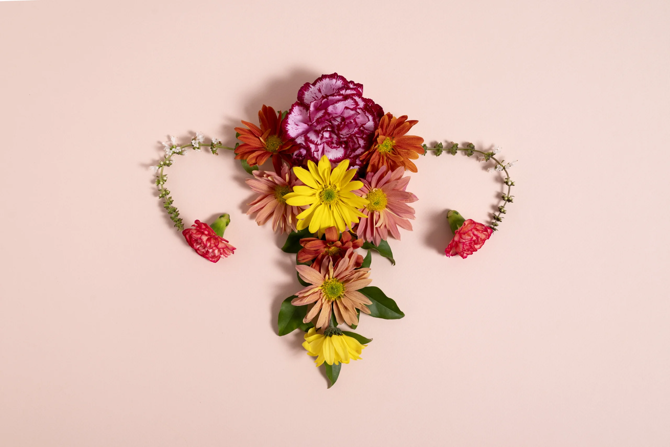 sistema-reprodutivo-feminino